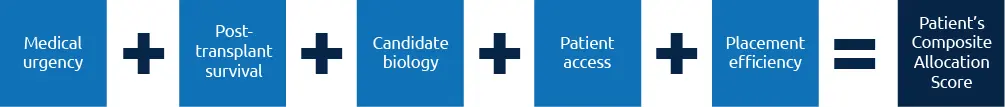 Specific attributes labeled in boxes in a line next to each other separated by plus signs. Medical urgency plus post-transplant survival plus candidate biology plus patient access plus patient efficiency equal a patient’s composite allocation score. Desktop image.