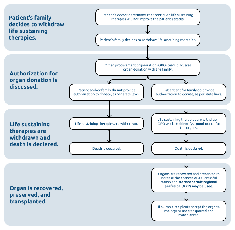 A flowchart that shows each step in the donation after circulation (DCD) process and where normothermic regional perfusion (NRP), if used, fits in. 