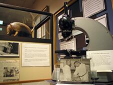 9-banded armadillo, the animal used in HD research and a microscope used in lab research branch of the National Hansen’s Disease Programs.