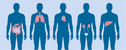 Silhouettes of five people are standing next to each other. Each person has a different internal organ visible.