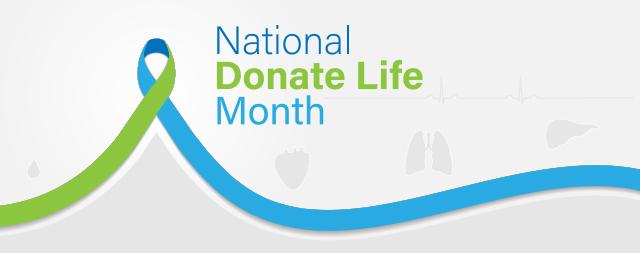 A blue and green ribbon with silhouettes of various organs and issues that can be donated. The text says, “National Donate Life Month.”  