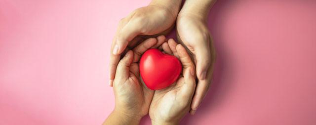 A pair of hands holding a red heart. 